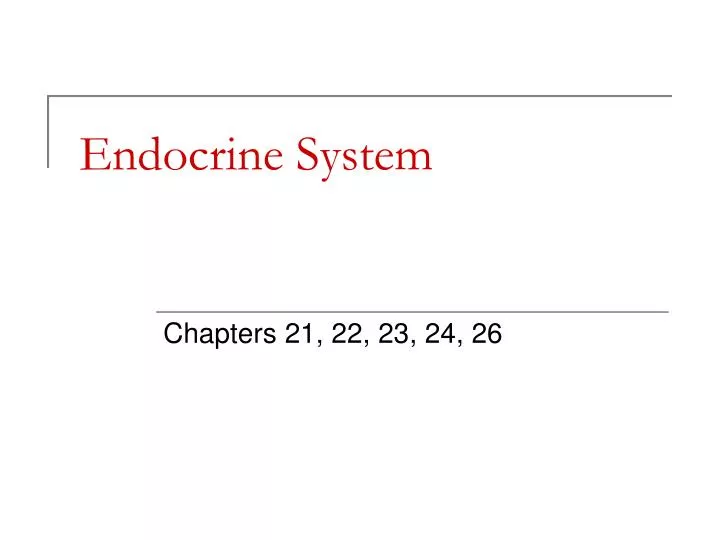 endocrine system n.