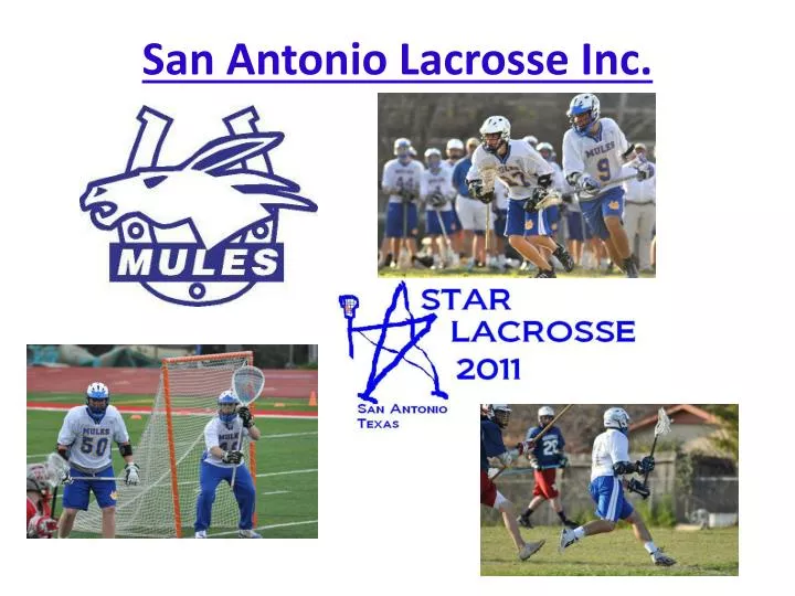PPT San Antonio Lacrosse Inc. PowerPoint Presentation, free download
