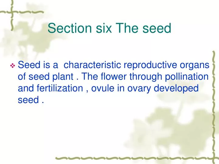 section six the seed n.