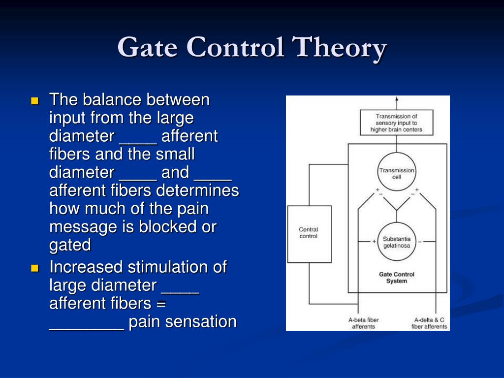 PPT Chapter 3 Managing Pain With Therapeutic Modalities PowerPoint