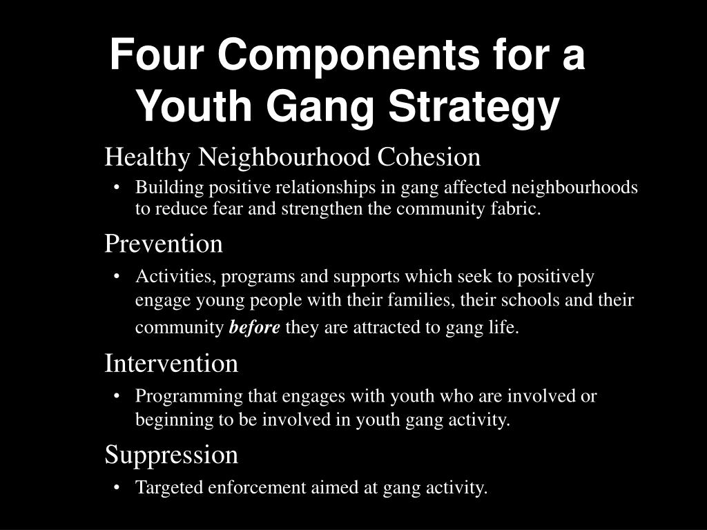 PPT The Ottawa Youth Gang Prevention Initiative (OYGPI) PowerPoint