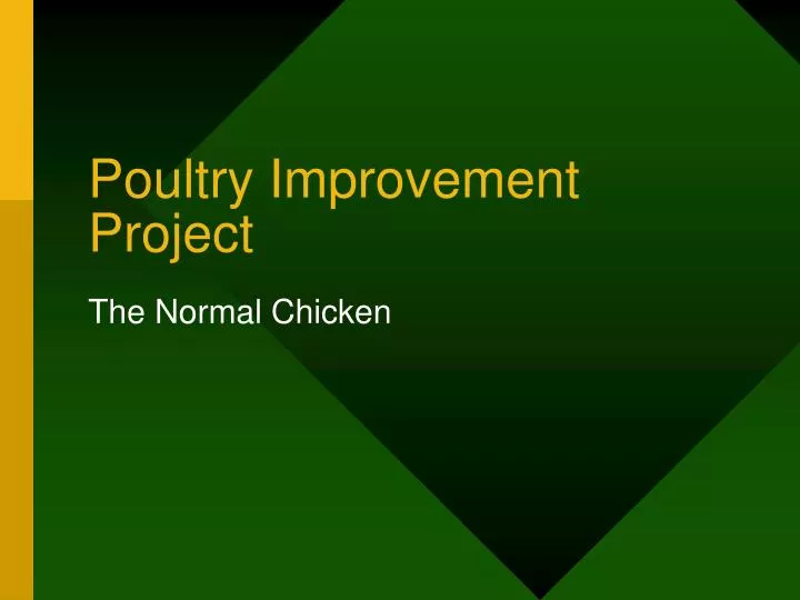 poultry improvement project n.