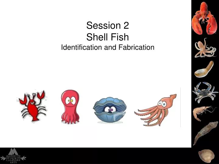 fish shell aliases