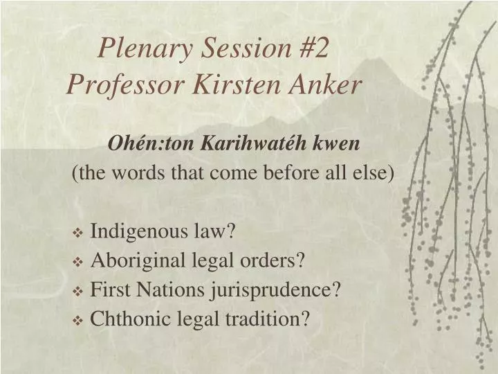 PPT - Plenary Session #2 Professor Kirsten Anker PowerPoint Presentation -  ID:987637