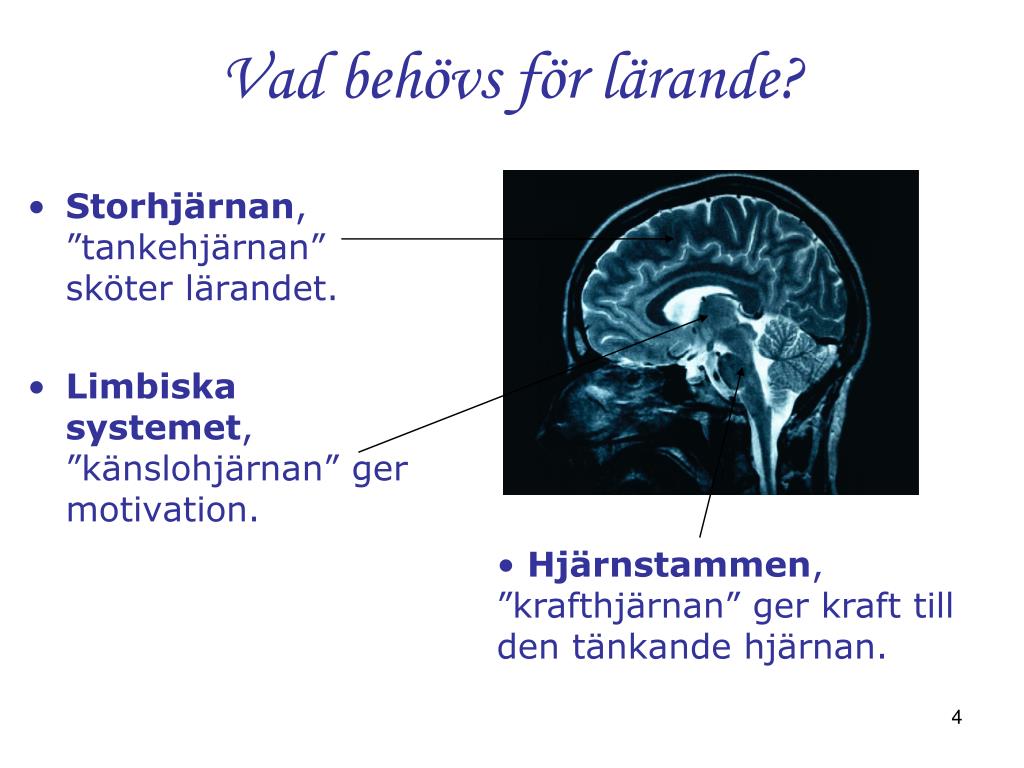 Råd att följa