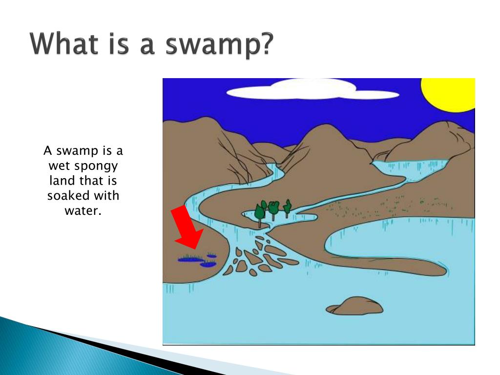 PPT - Grade Eight Geography PowerPoint Presentation, free download - ID