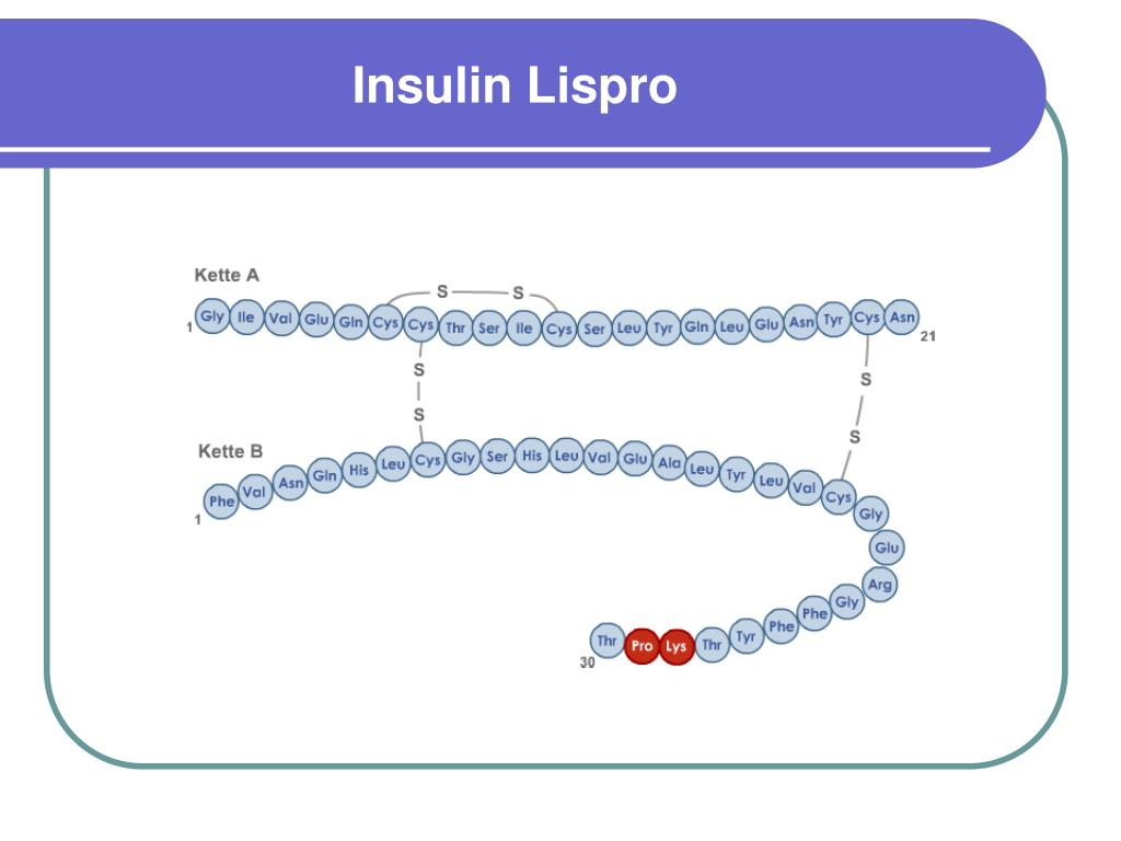 Lispro инсулин. Инсулин лизпро. Инсулин лизпро получение. Инсулин лизпро ответ 2. Протамин инсулин