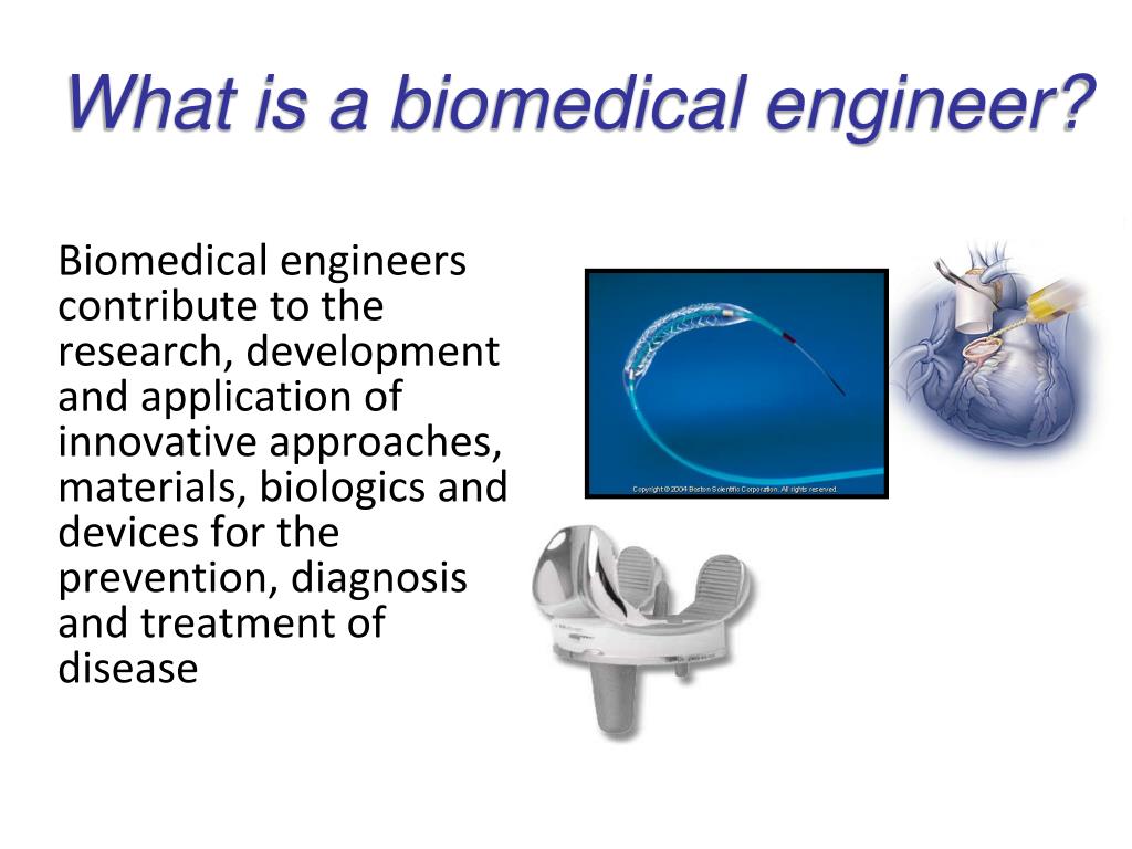 why biomedical engineering essay