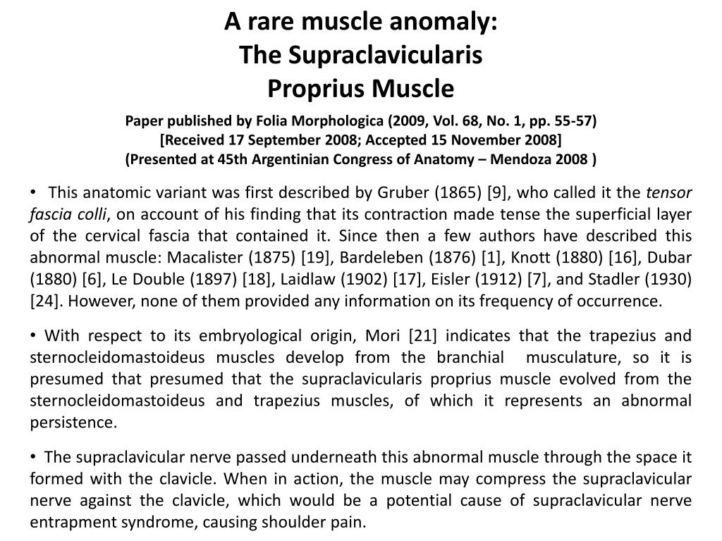PPT - A rare muscle anomaly: The Supraclavicularis Proprius Muscle