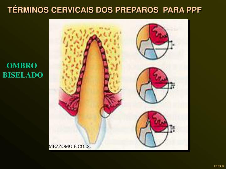 PPT - DEPARTAMENTO DE MATERIAIS ODONTOLÓGICOS E PRÓTESE DISCIPLINA DE ...