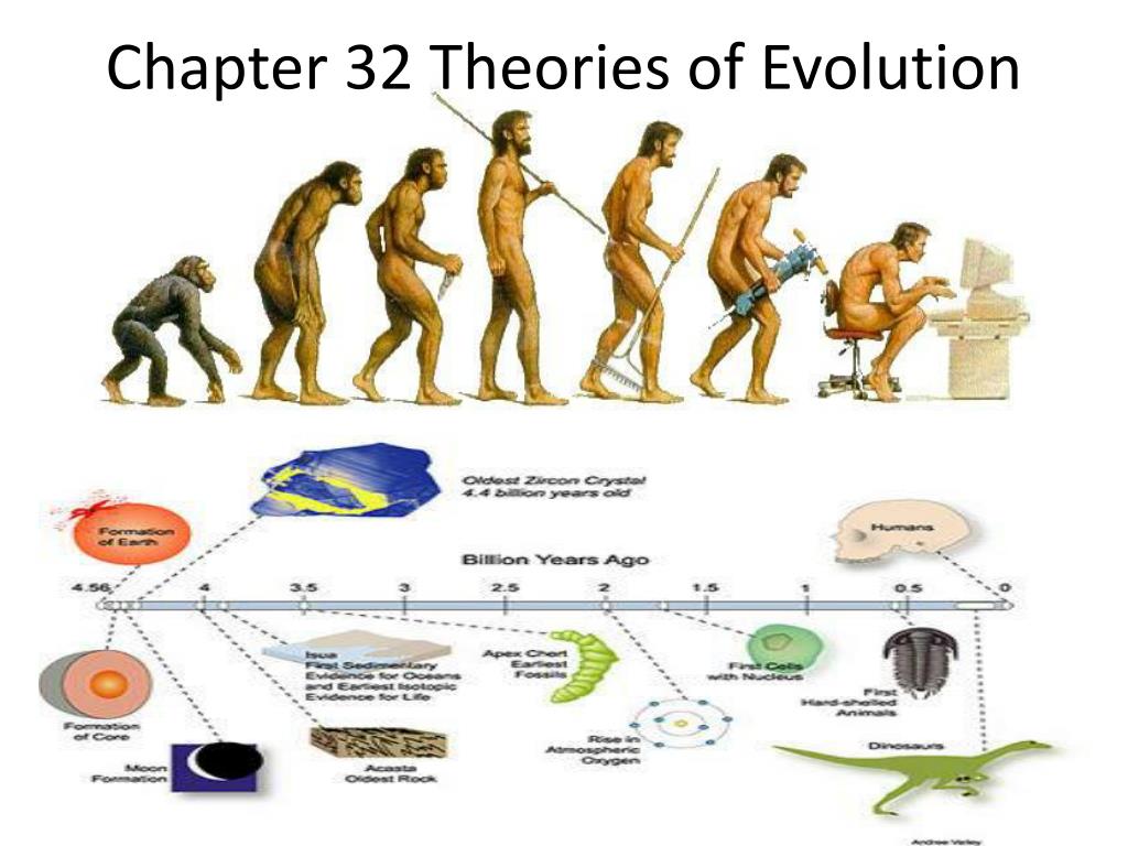 what is the thesis of theory of evolution
